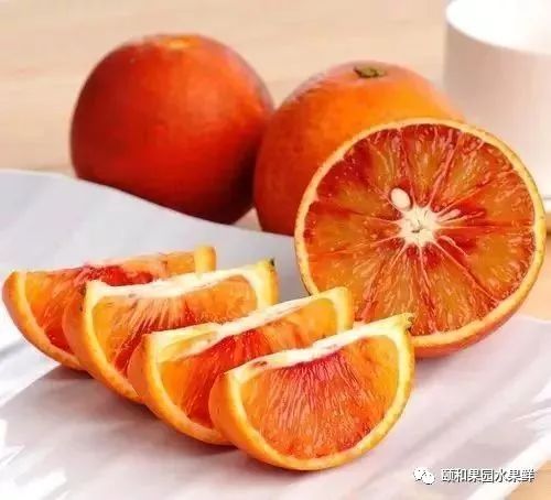 「血橙」不但美容養顏還能《減肥瘦身》 健康 第6張
