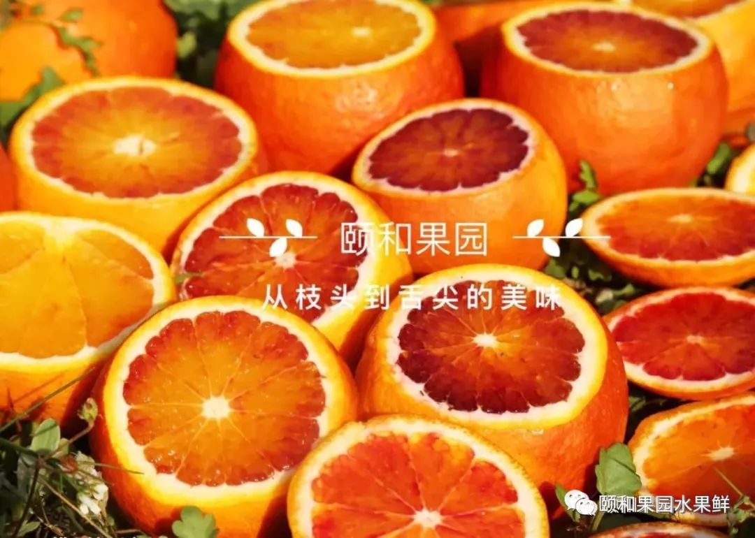 「血橙」不但美容養顏還能《減肥瘦身》 健康 第3張