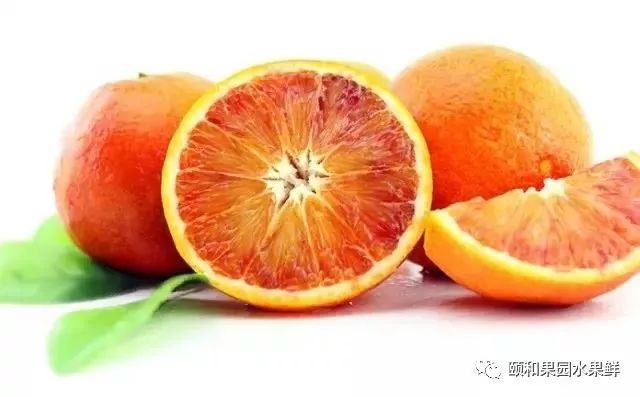 「血橙」不但美容養顏還能《減肥瘦身》 健康 第12張