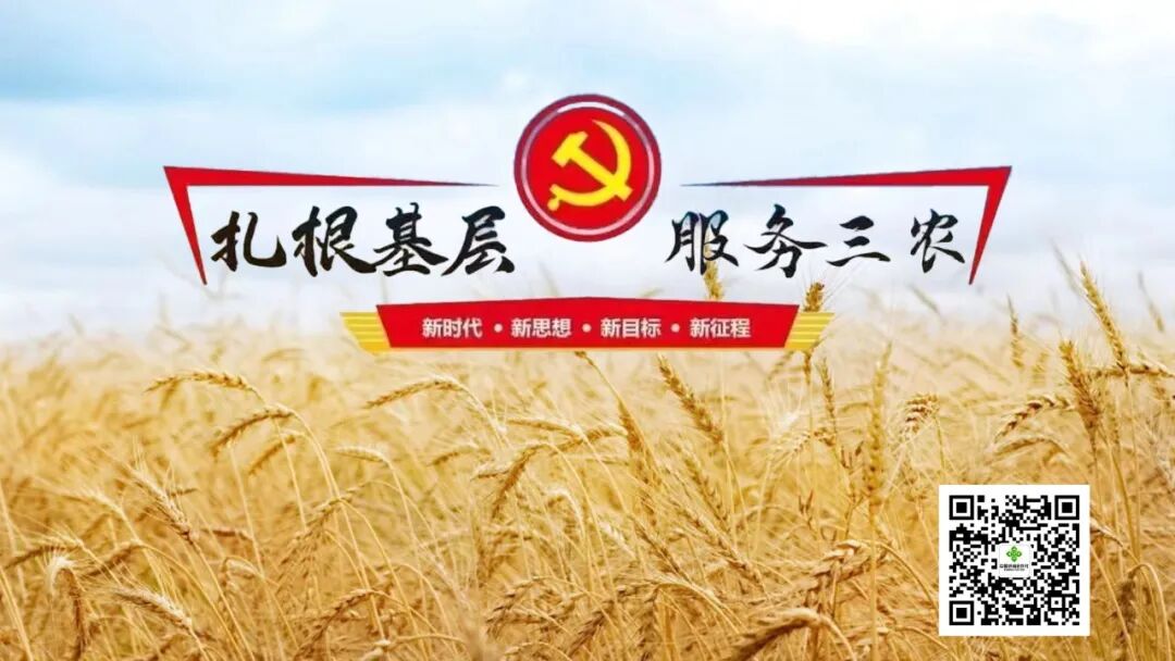 滕州市供销社传达学习贯彻落实上级有关会议精神