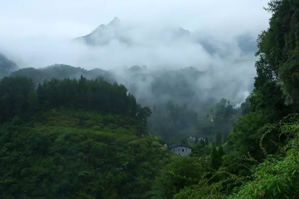 什么样的房子才算理想的第一居所?中国傩城  太阳湖花园洋房满足