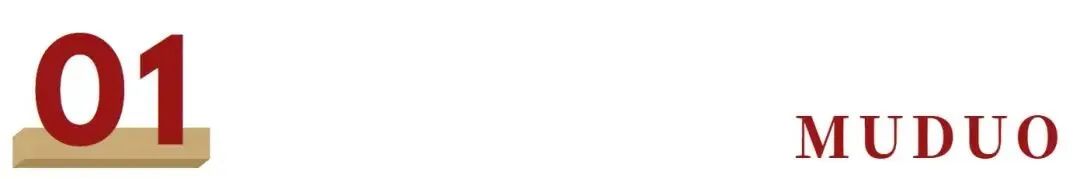 文章拉练13｜“双十一14年”新闻报道文章大千与累积(图2)