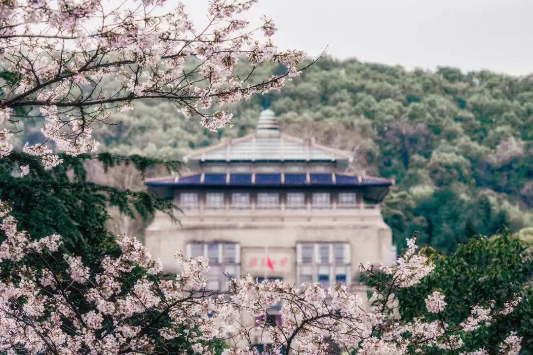 武大学费_武大学费2020_武汉大学学费一年多少钱一1