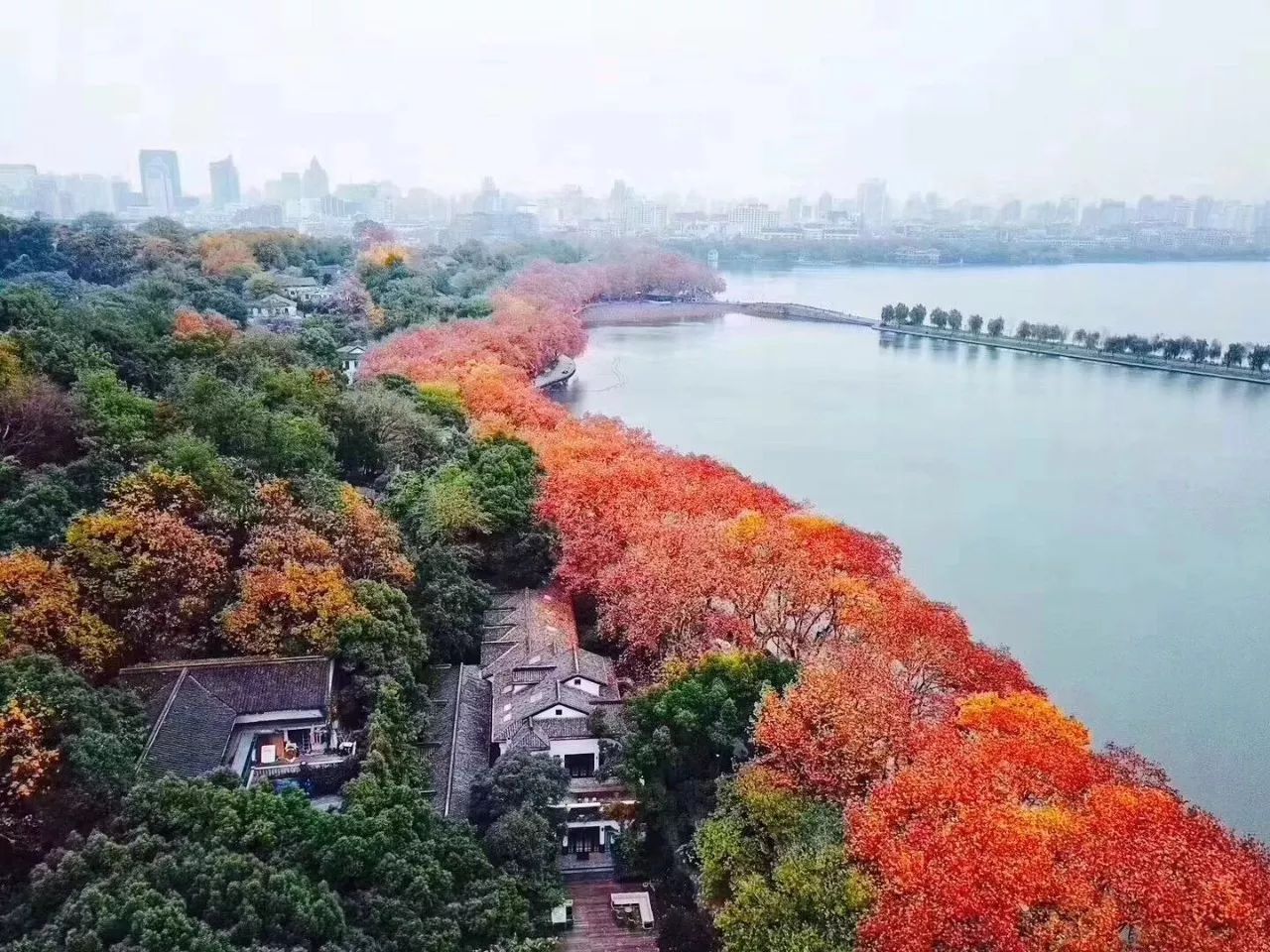 马光远:不要抛弃中国房产,杭州与北上深广并列全球城市,三四五线