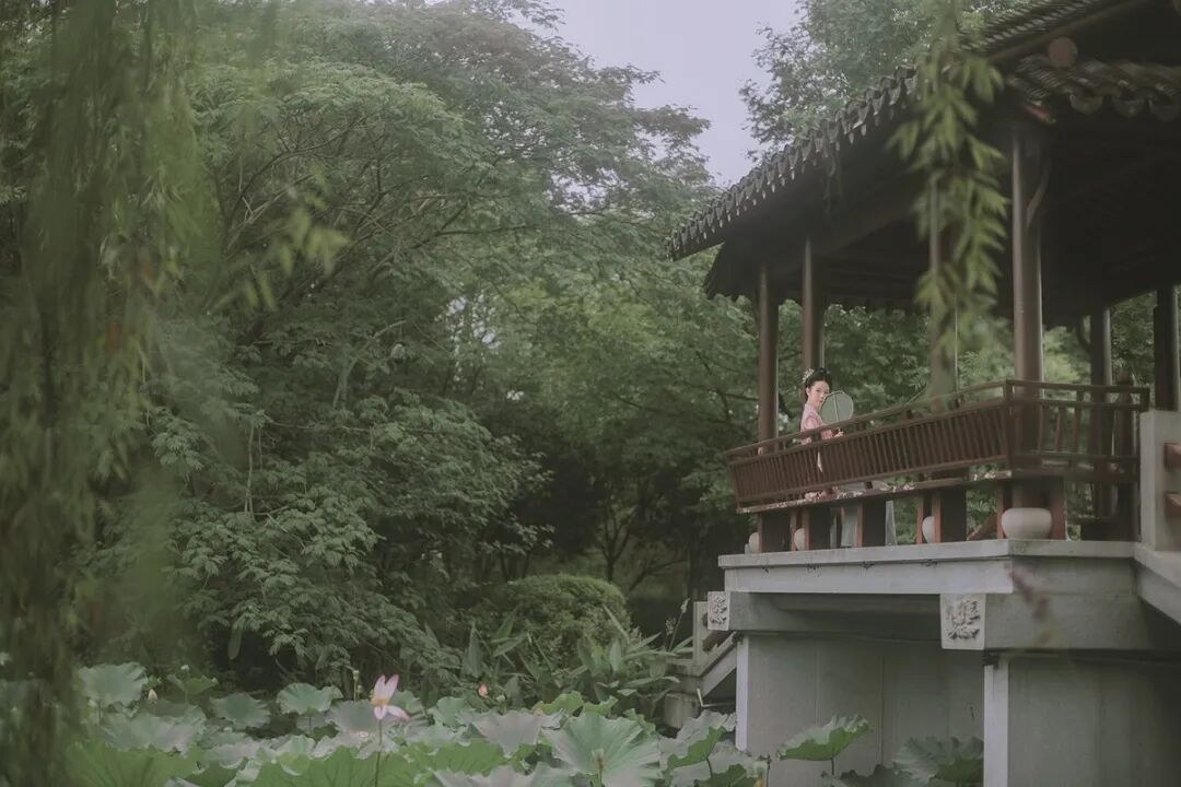 古风摄影｜荷风醉～