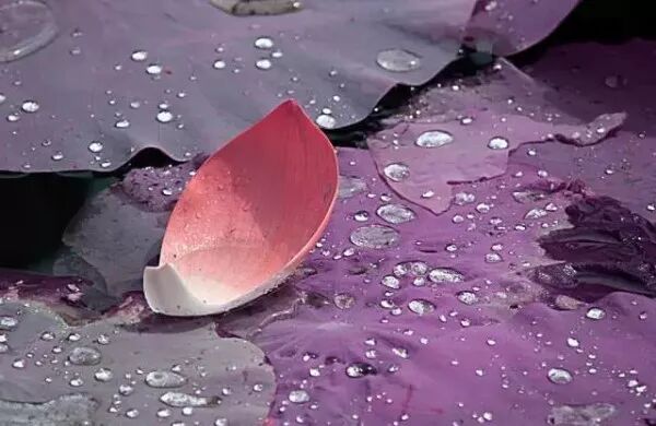 人生如天气，可预料，但往往出乎意料。