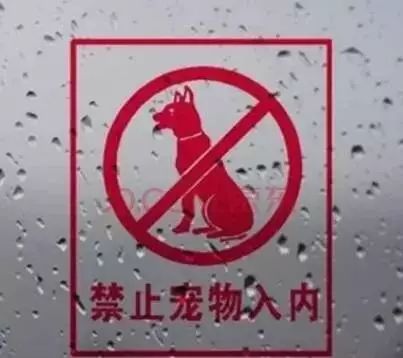 飞机上的亲吻_飞机上的亲吻_飞机上的亲吻