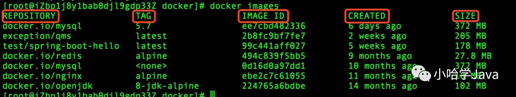 Docker 查看镜像信息