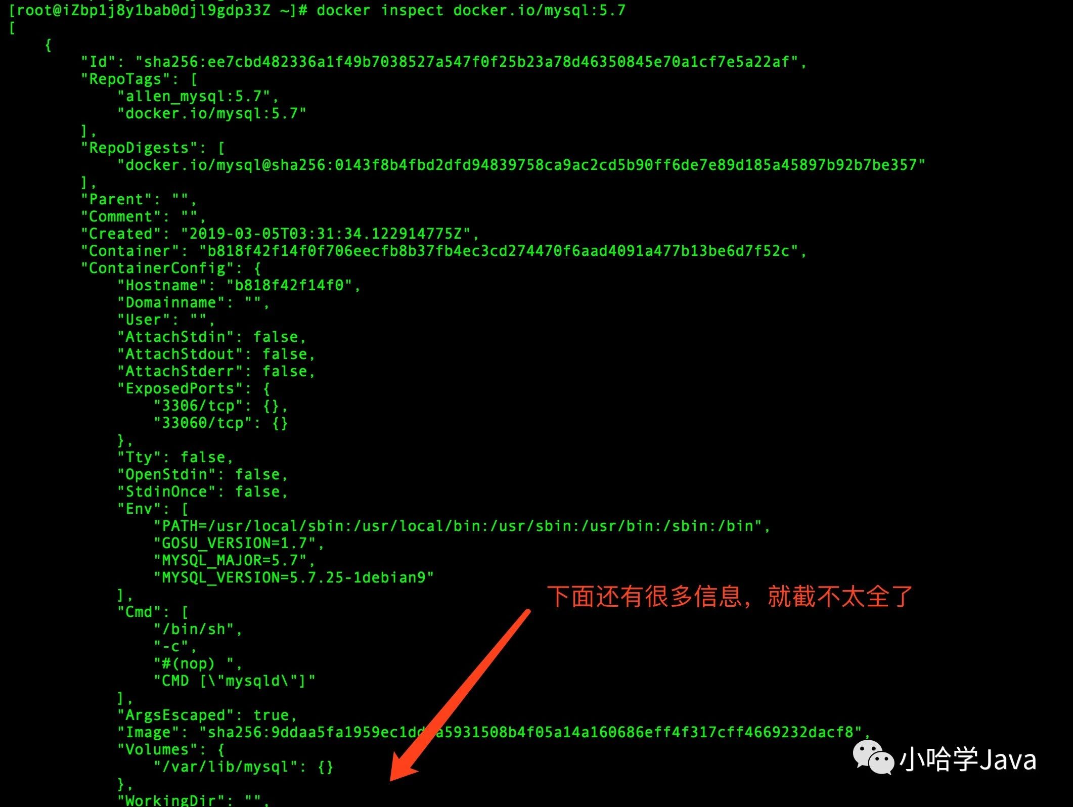 Docker inspect 查看镜像详细信息