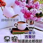 今日最新早上好表情图片大全，真情天长地久，祝福每天都有