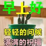 最新早上好问候祝福语大全
