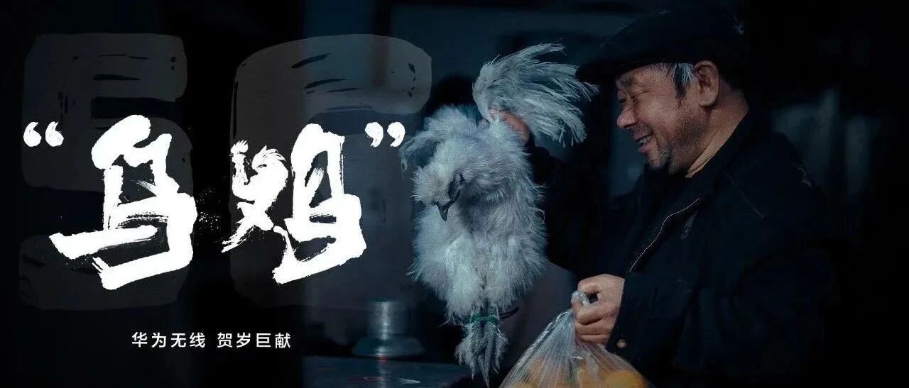 《“乌鸡”》全网首映，全新演绎“偏方”治大病