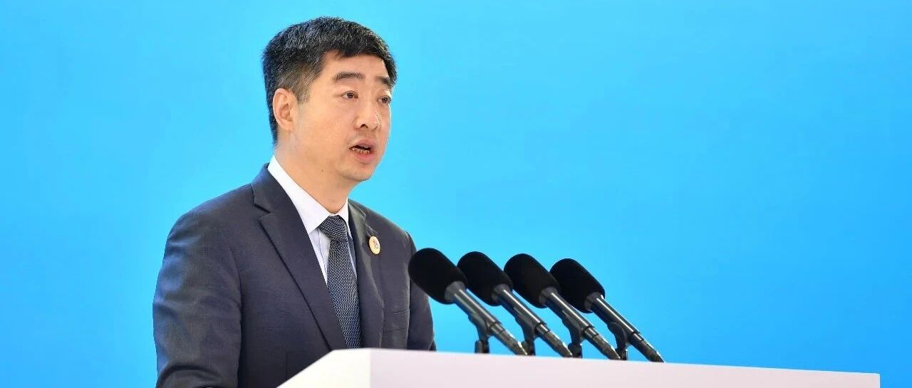 根深才能叶茂，打造数字中国新生态