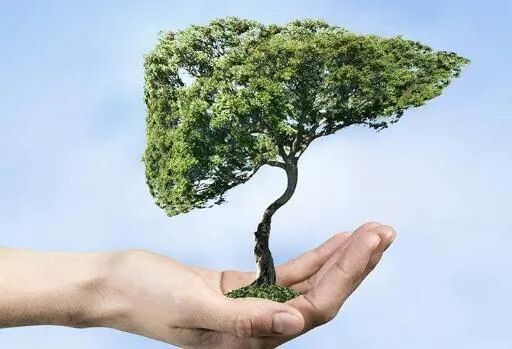 24节气养生雨水养生平肝护脾防湿邪