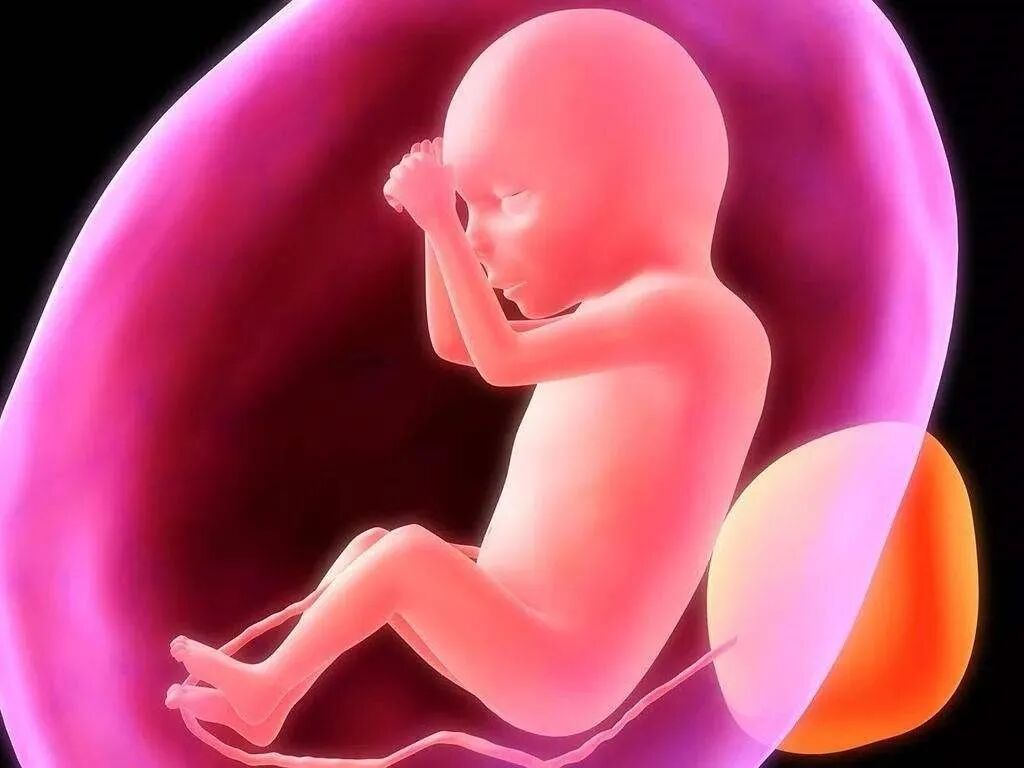 美国曝首例新生儿确诊新冠！脐带、胎盘和母乳都可能传播（组图） - 7