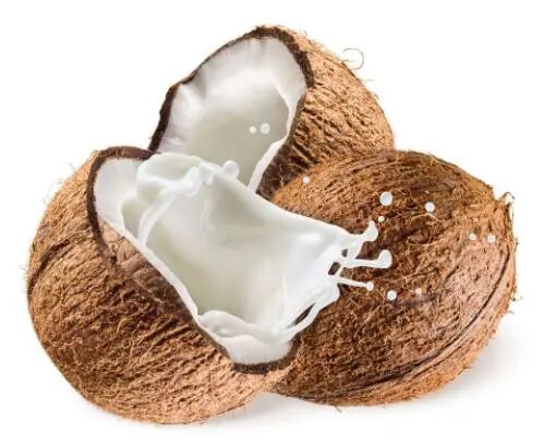 coconut