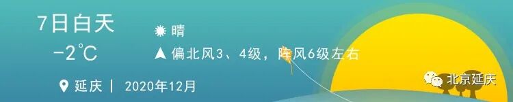 北京机动车摇号官网 刚刚！北京小客车摇号又有新政