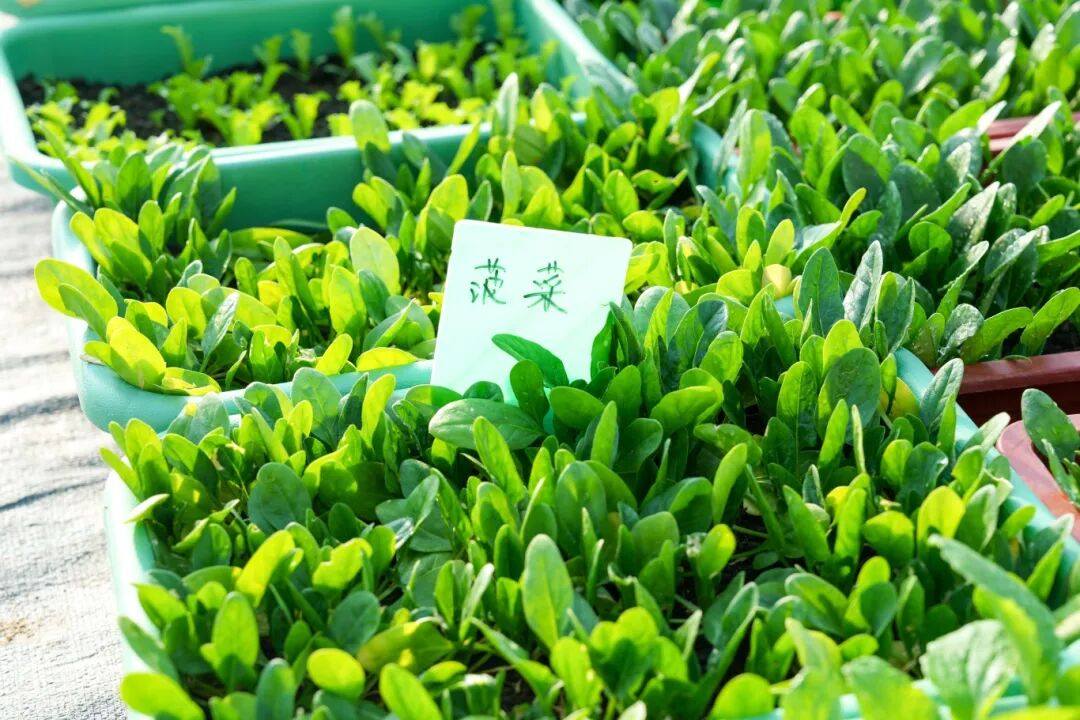 微信图片_2026-01-12_135635_591.jpg