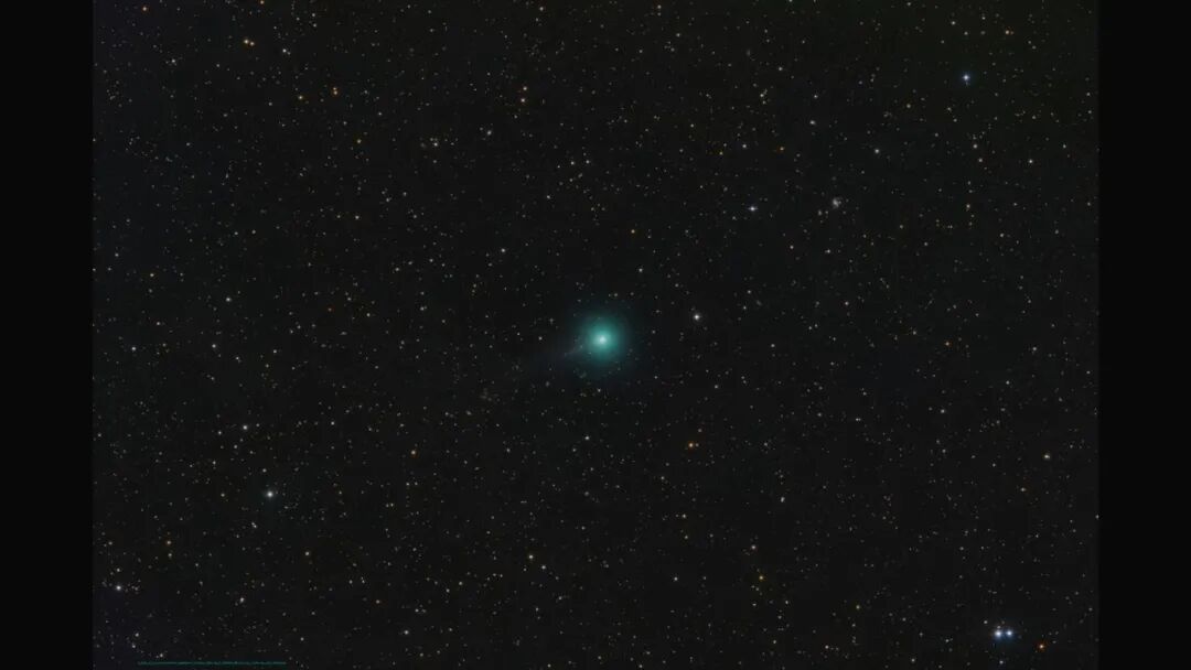 莱蒙彗星现身