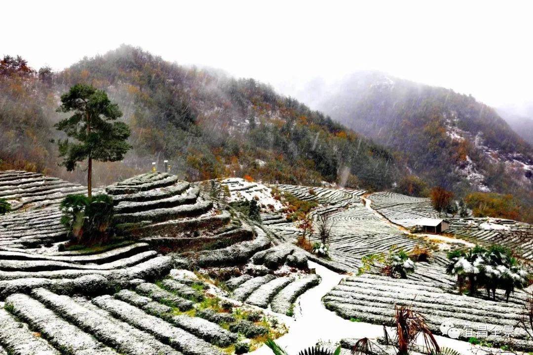 宜昌百里荒天气预报