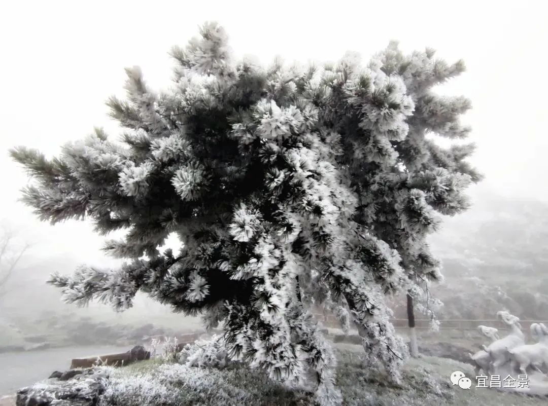 宜昌百里荒天气预报