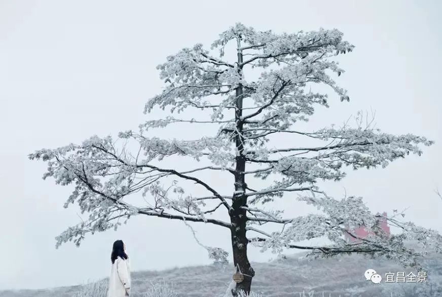 宜昌百里荒天气预报