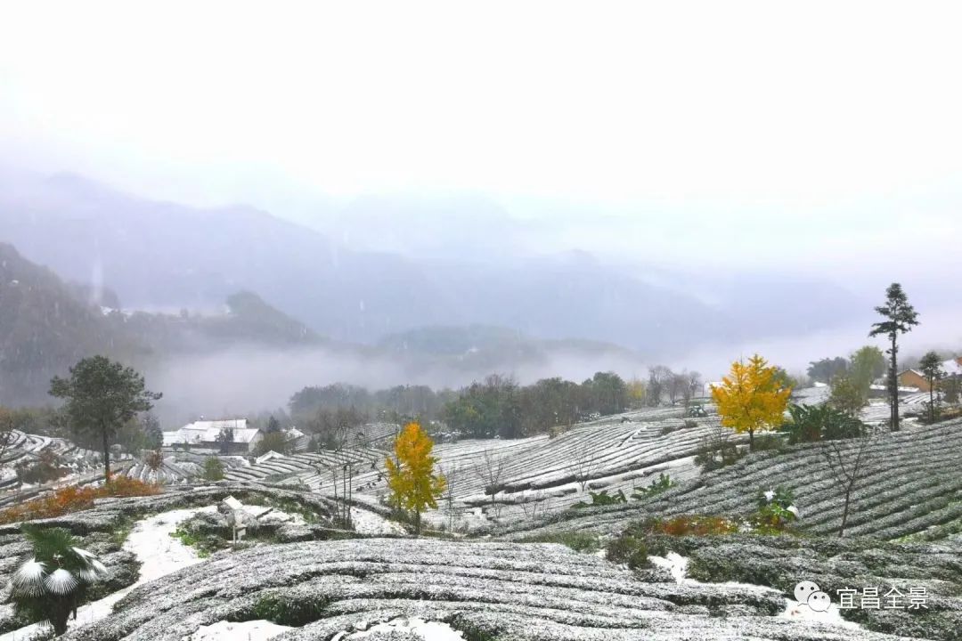 宜昌百里荒天气预报