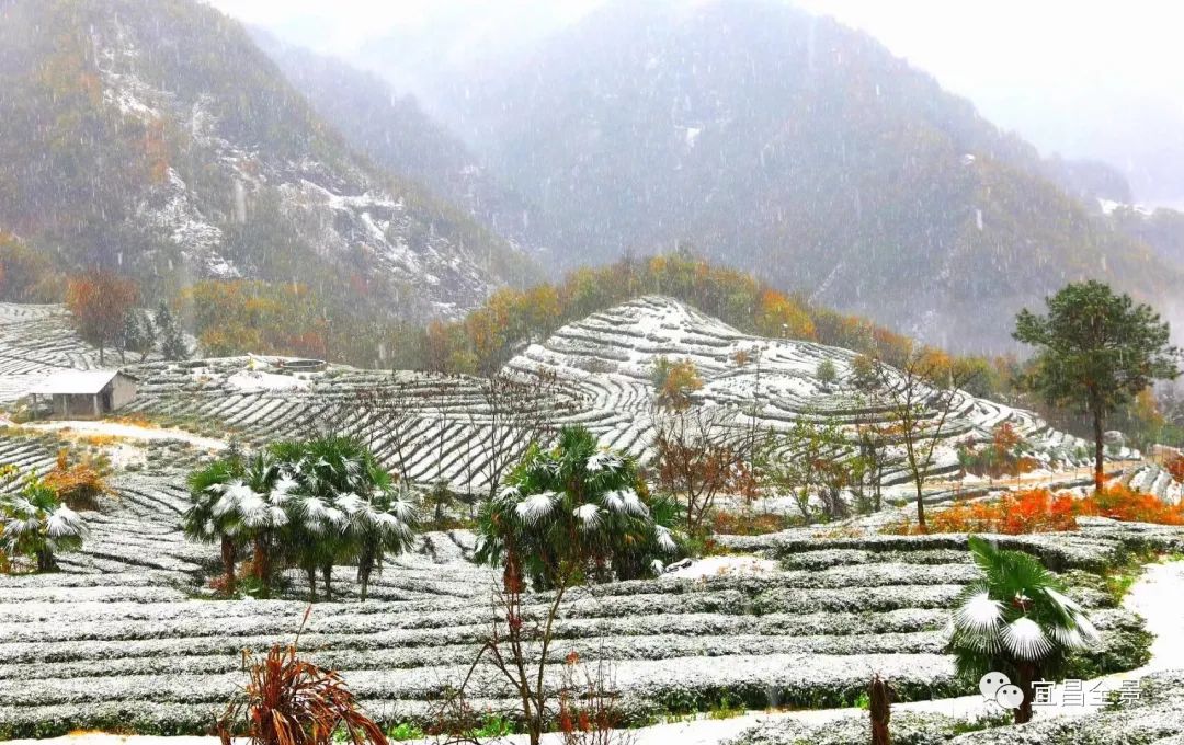 宜昌百里荒天气预报