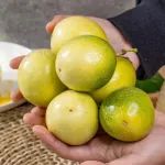 甜度高、香味浓丨直接挖着吃的黄金百香果，颠覆您的认知！