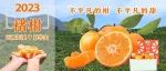 褚柑开园了！甜蜜化渣口口醇香，抢鲜下单立减20元！