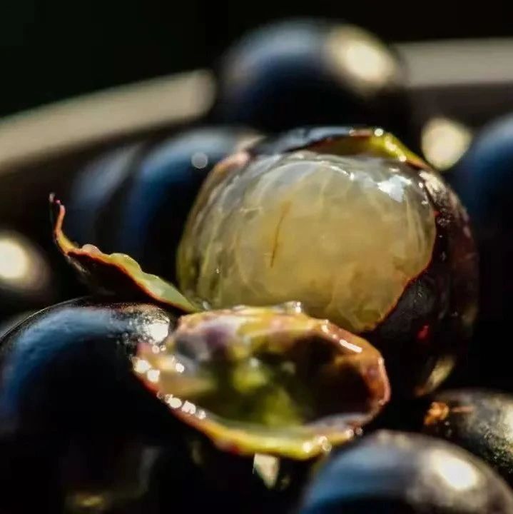 “挂在树上的黑葡萄”，8年才结果，产量稀少，口感丰富清新~~