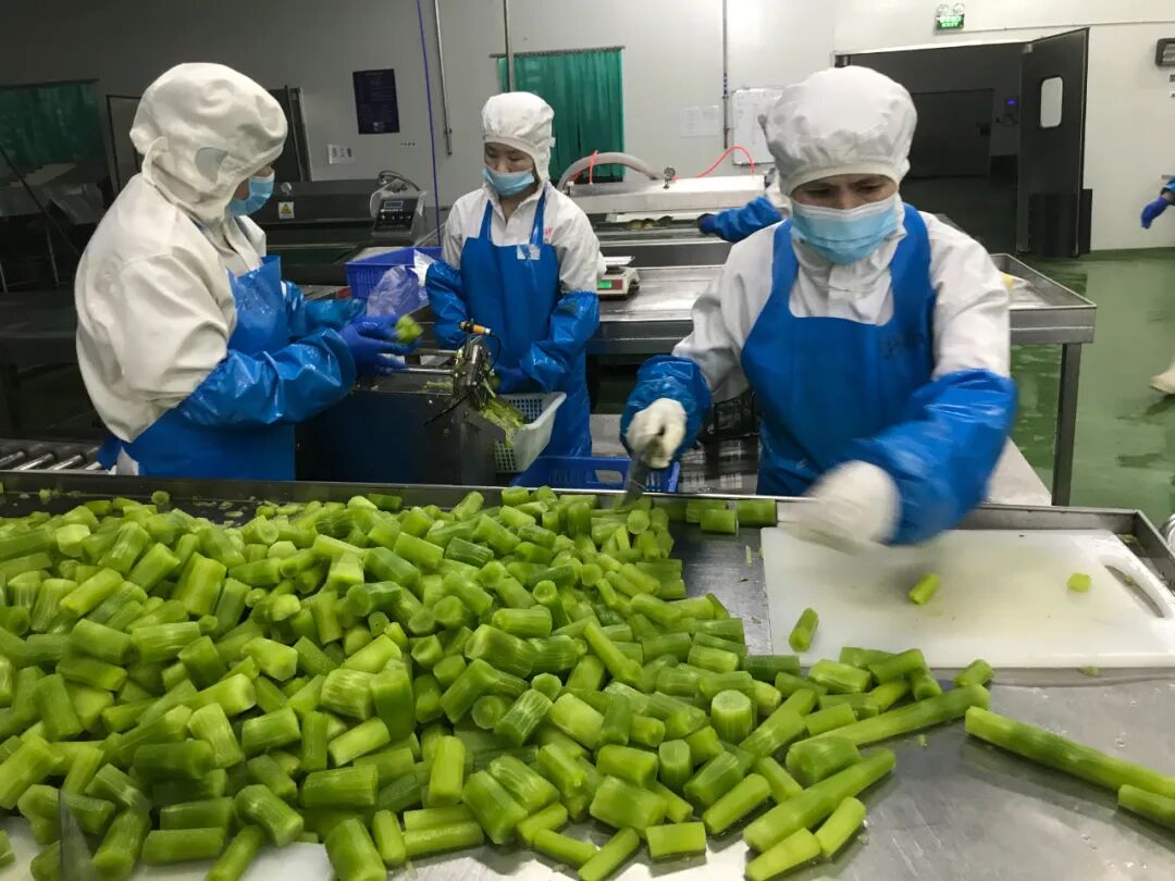 而在另一个净菜加工车间,一批新鲜蔬菜经过净,切,真空