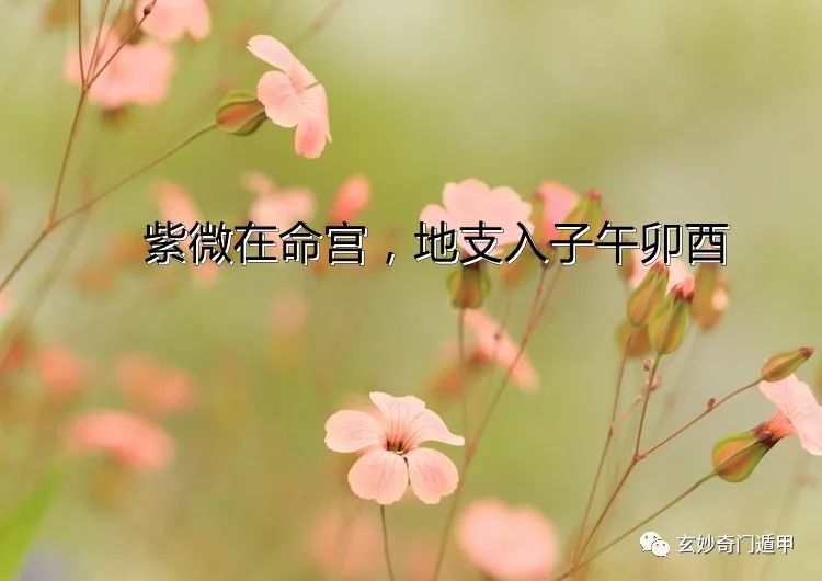 紫微贪狼的人_紫微贪狼命格_紫微贪狼在命宫