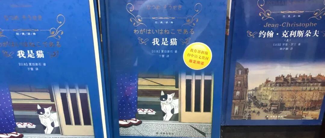 【头条】南宁多个书城推销“教育部推荐”图书，家长千万别上当！官方已严正声明【930新闻眼】