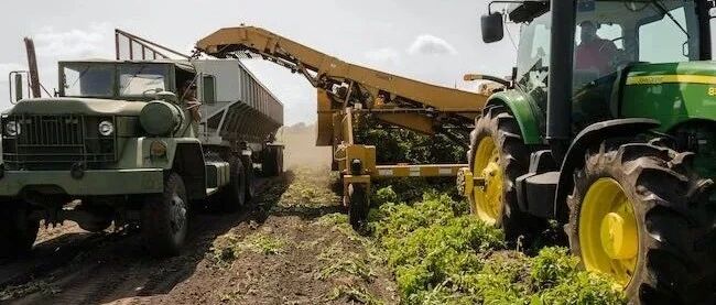 美国农业合作社遭勒索软件袭击，或导致食品供应链中断