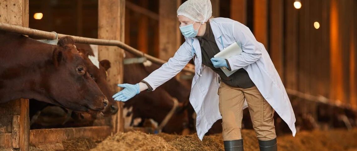 全球最大肉类加工企业遭遇网络攻击停产