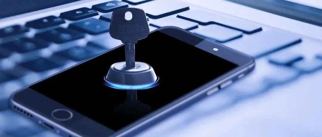 回顾：2021年度代表性移动应用安全事件