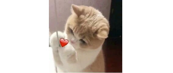 高校开学季，来看看哪家的横幅更戳心......