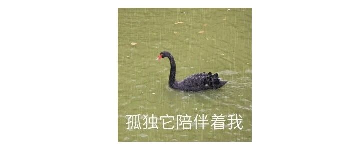 大学撞简称，这些学校太尴尬了