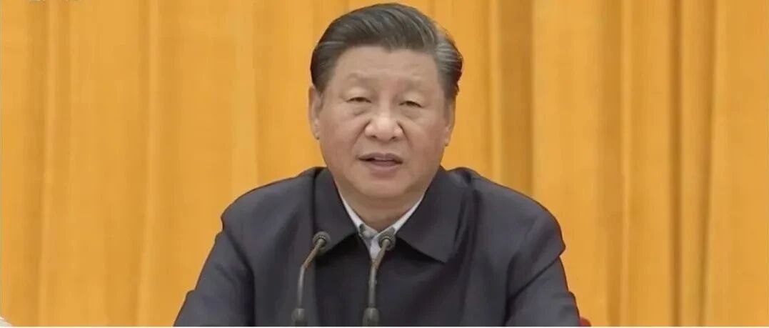 习近平：支持青年人才挑大梁当主角