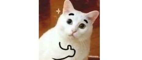 73所高校上榜！看看你的学校获奖了吗？