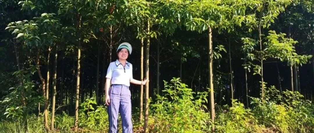 这个曾经研究火箭的女孩，为什么回到老家种树？