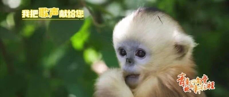 这么美的地方，我不允许你不知道!