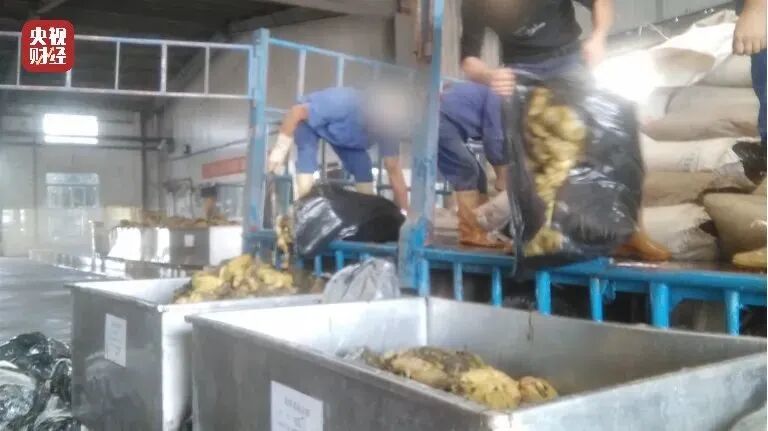 不忍直视！315晚会，直播和食品乱象又被重锤！中国人只骗中国人？(图9)