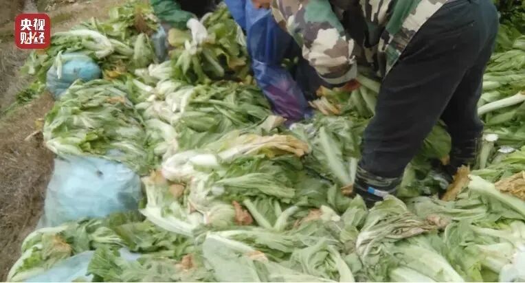 不忍直视！315晚会，直播和食品乱象又被重锤！中国人只骗中国人？(图6)