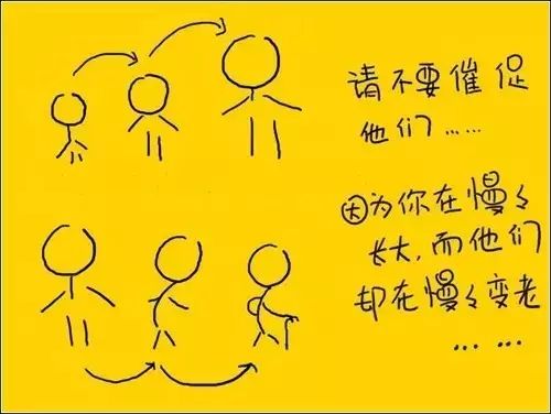 【夜讀】人最大的教養,是善待父母