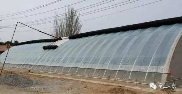 种植创业项目的理由怎么写_种植创业项目_种植创业项目的理由