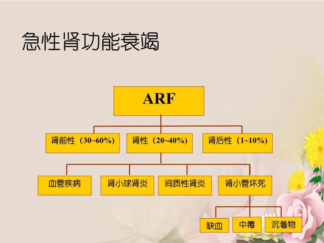一场感冒引发的急性肾衰竭