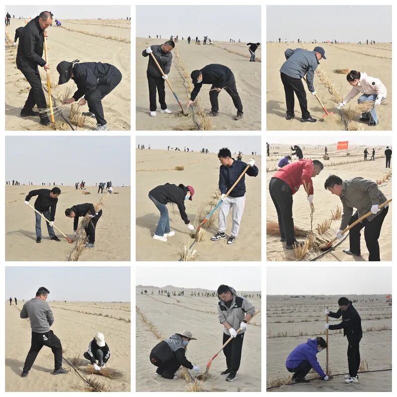 春植千树添绿大地，法护生态润泽民生——第一师中级人民法院开展春季义务植树活动