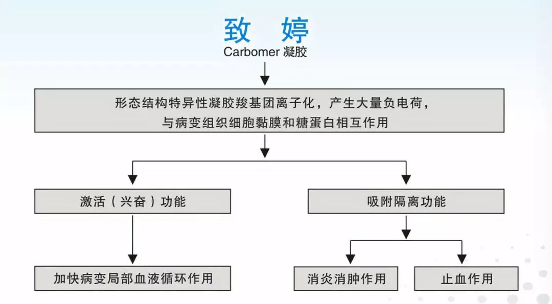 卡波姆痔疮凝胶怎么用致婷——卡波姆凝胶（痔疮专用）_https://www.jmylbn.com_新闻资讯_第3张